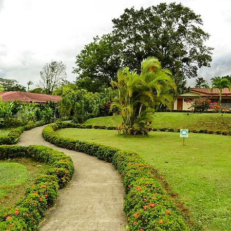 Termales Del Bosque & Hot Springs Hotel La Marina Luaran gambar