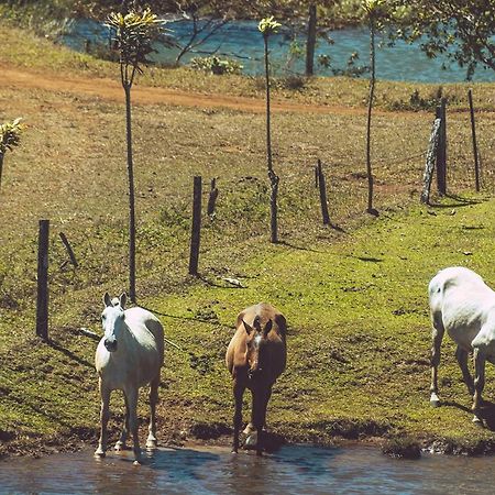 Termales Del Bosque & Hot Springs Hotel La Marina Luaran gambar