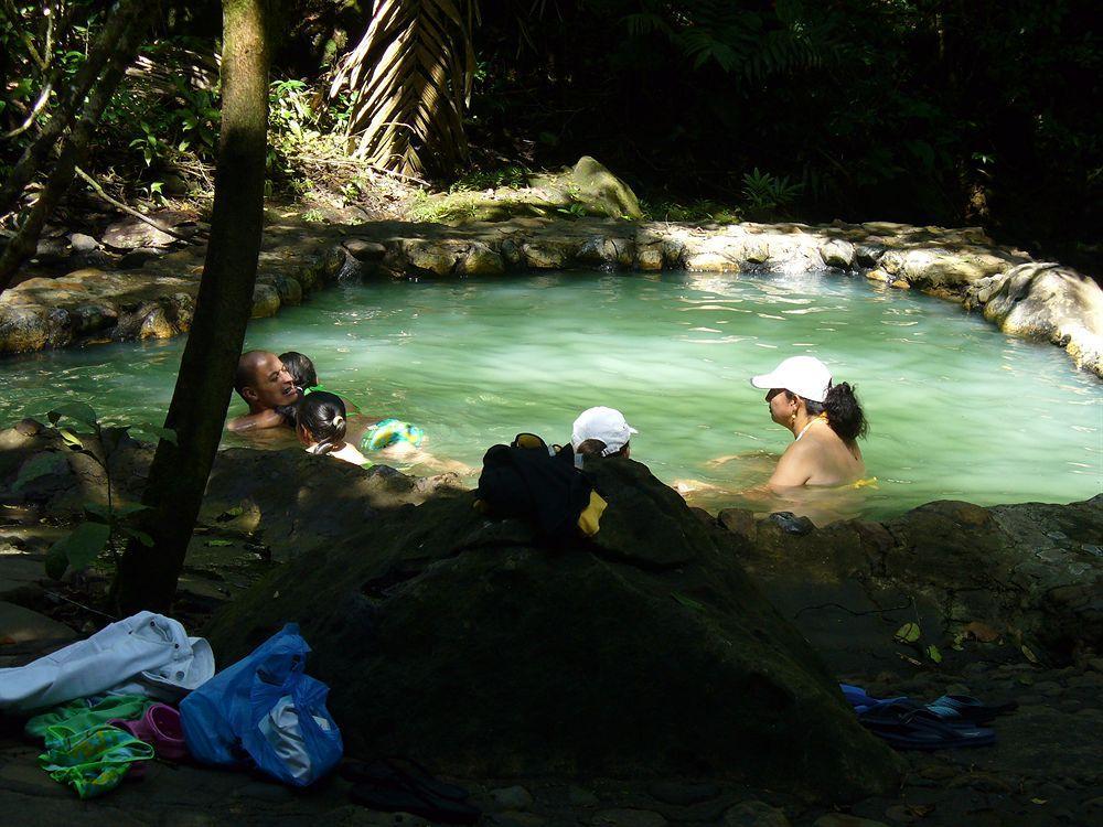 Termales Del Bosque & Hot Springs Hotel La Marina Luaran gambar