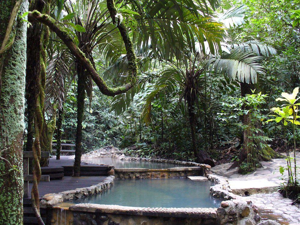 Termales Del Bosque & Hot Springs Hotel La Marina Luaran gambar