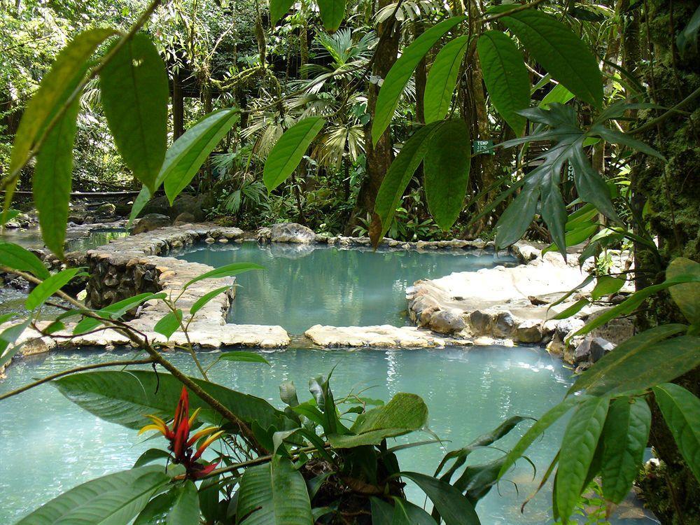 Termales Del Bosque & Hot Springs Hotel La Marina Luaran gambar