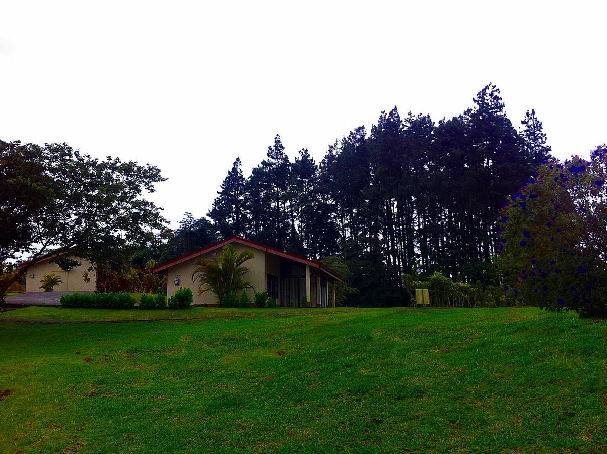 Termales Del Bosque & Hot Springs Hotel La Marina Luaran gambar