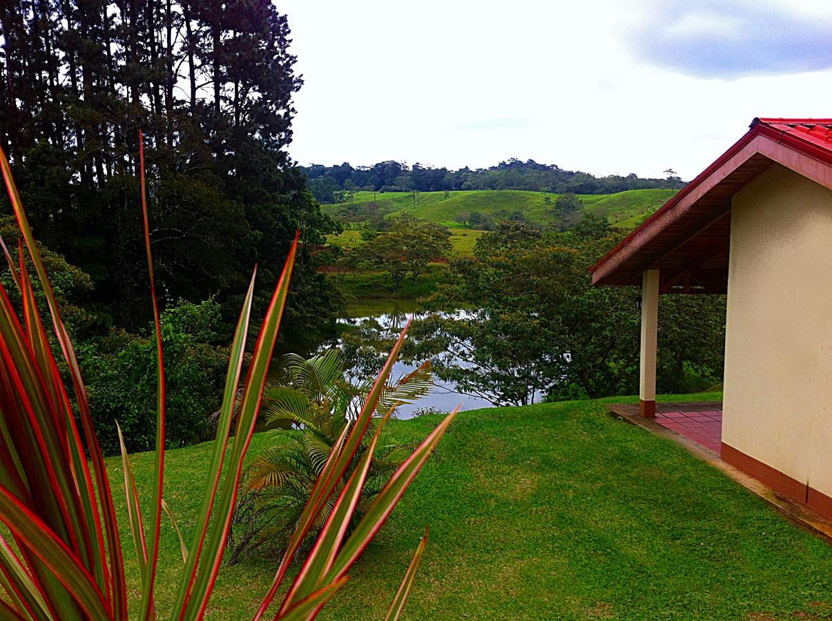 Termales Del Bosque & Hot Springs Hotel La Marina Luaran gambar