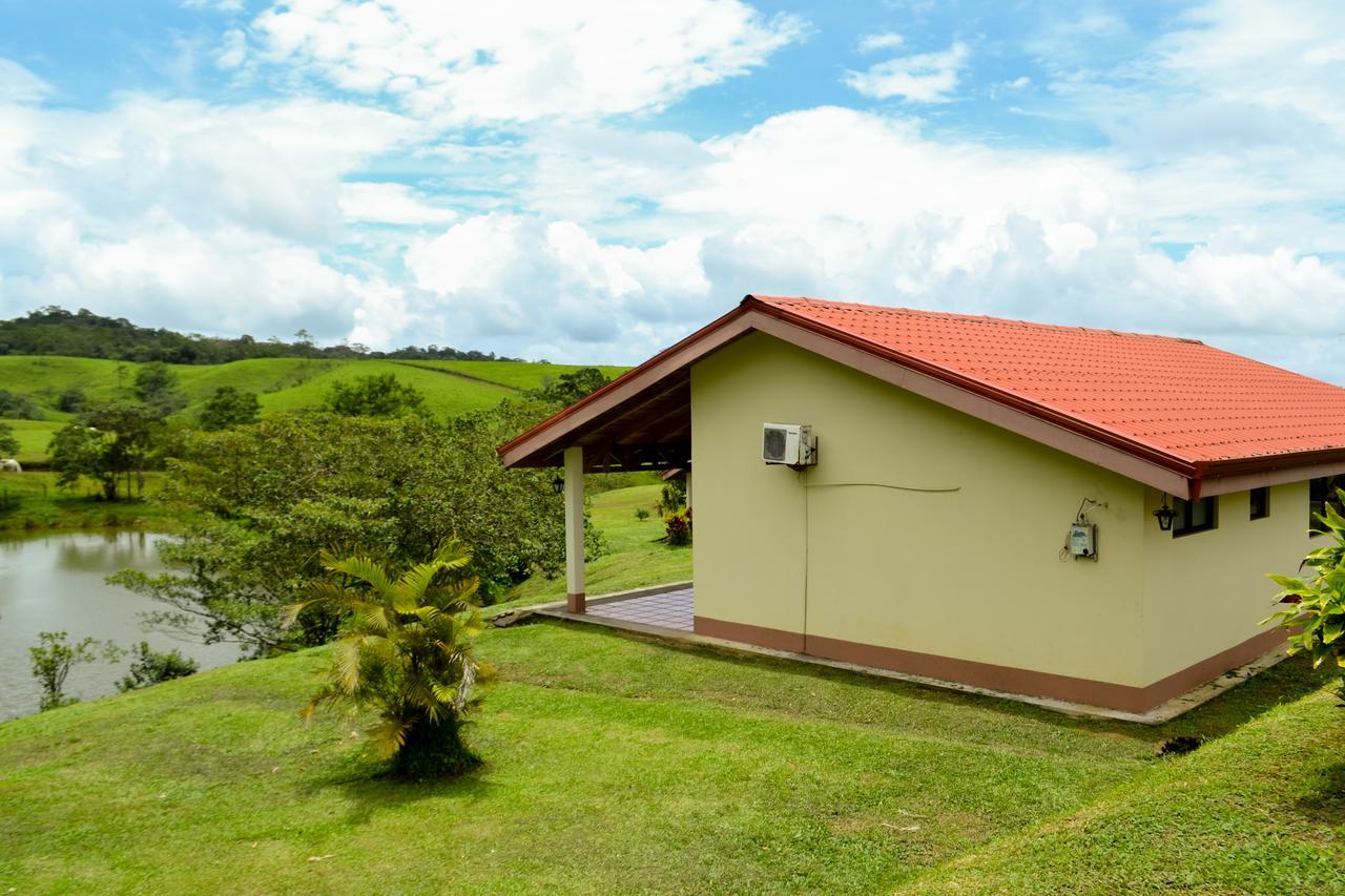 Termales Del Bosque & Hot Springs Hotel La Marina Luaran gambar