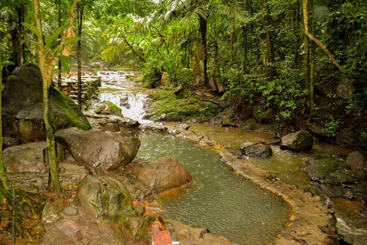 Termales Del Bosque & Hot Springs Hotel La Marina Luaran gambar