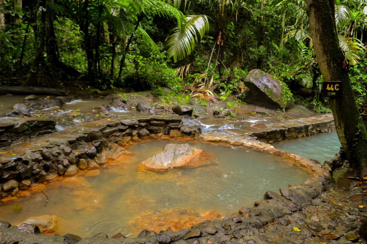 Termales Del Bosque & Hot Springs Hotel La Marina Luaran gambar