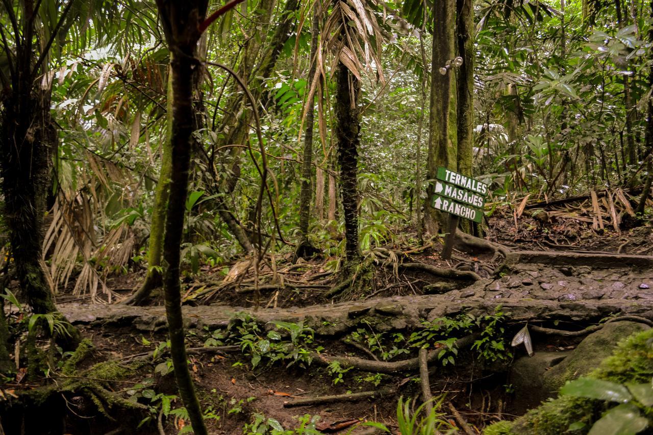 Termales Del Bosque & Hot Springs Hotel La Marina Luaran gambar