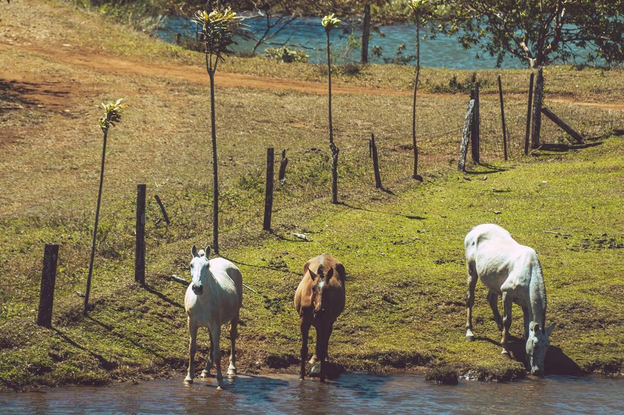 Termales Del Bosque & Hot Springs Hotel La Marina Luaran gambar