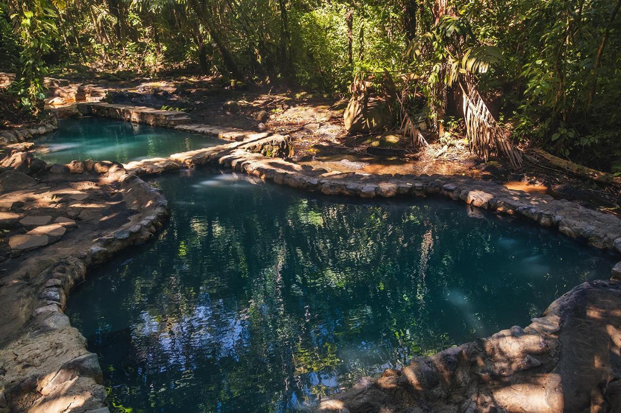 Termales Del Bosque & Hot Springs Hotel La Marina Luaran gambar