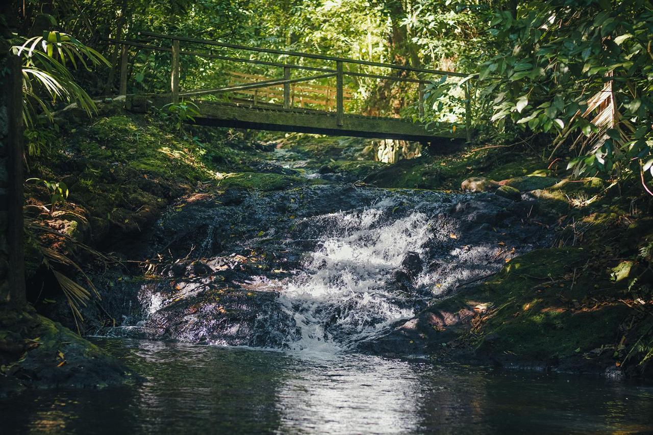 Termales Del Bosque & Hot Springs Hotel La Marina Luaran gambar